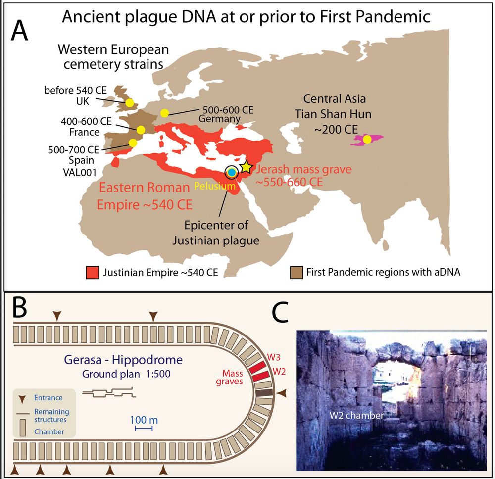 Figure 1 from Adapa et al. 2025, Jerash mass grave site in the context of the First Pandemic. There are three images: A) a map of western Eurasia and North Africa, showing sites where plague aDNA has already been retrieved; B) a diagram of the Jerash hippodrome, where the bodies were found; and C) a photograph of one of the chambers.