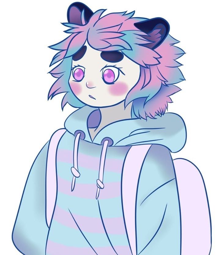 Raccoon girly wearing a undertail sweatshirt and blue and pink hair and a pink backpack