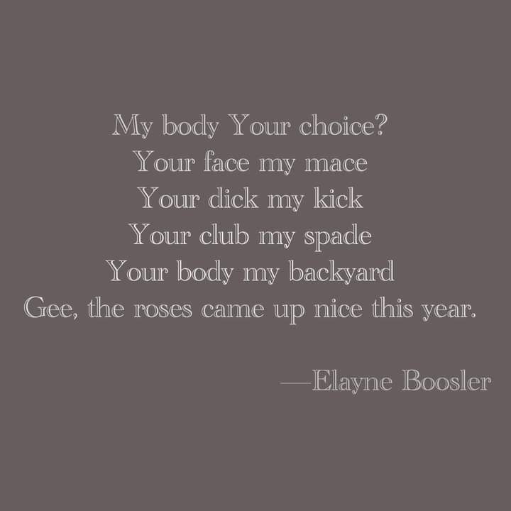 Poem by Elayne Boosler

My body your choice? 
Your face my mace
Your dick my kick
Your club my spade 
Your body my backyard
Gee, the roses came up nice this year.