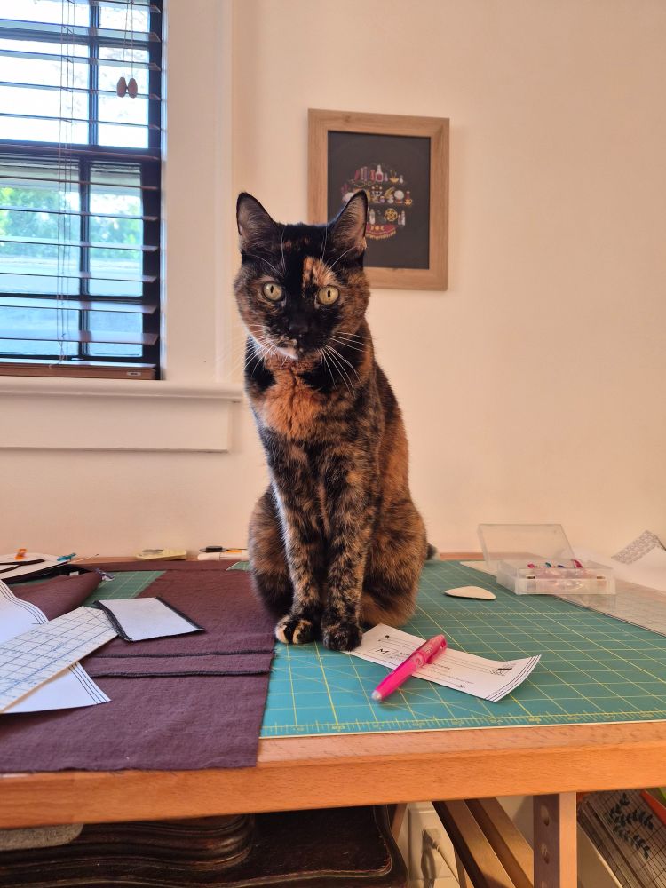 black and orange tortoiseshell cat sits primly among fabric and sewing ephemera