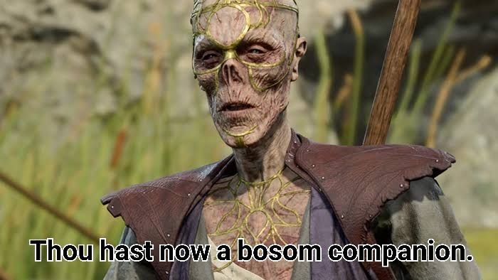 Image of withers from baldurs gate 3 with a caption that reads "thou hast now a bosom companion"