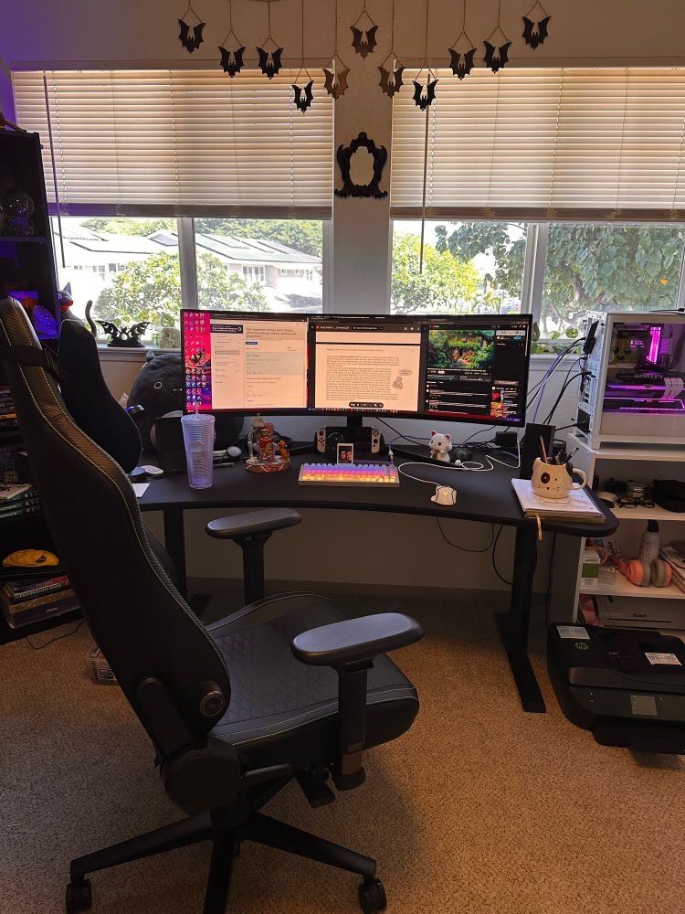 My room where I study and do my work on the computer. A PC, monitor, computer chair, and trees in the window view. 