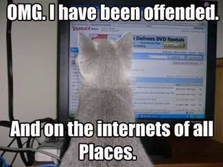 A picture of a cat looking at a computer monitor. The picture has been captioned, and the caption says the following:
"OMG. I have been offended. And on the internets of all places."