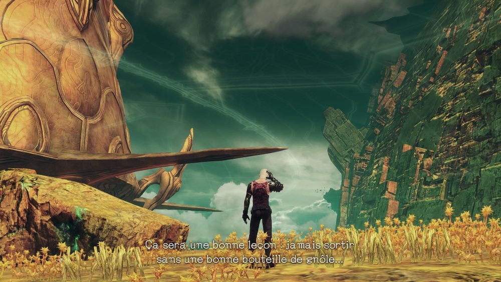 Je n'aurais pas dit mieux. 