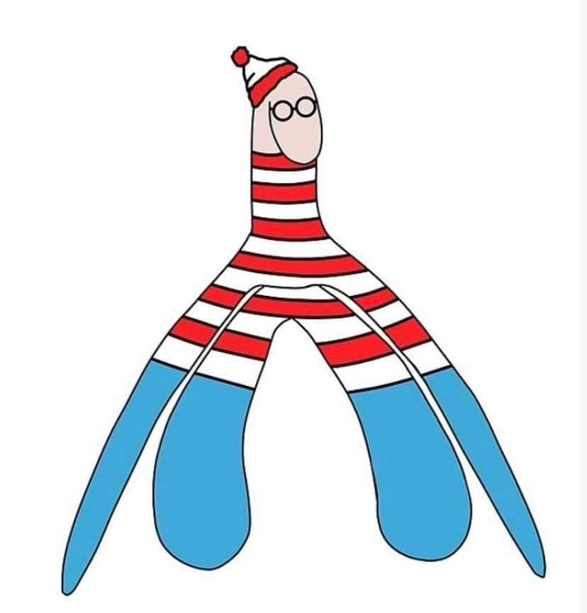 Clito ou est Charlie/ Waldo