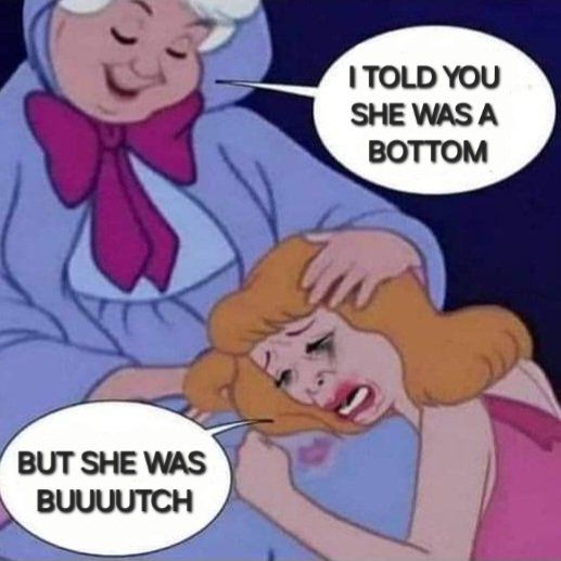 La mamie fée de cendrillon réconforte cendrillon. 
"I told you she was a bottom
- But she was a buuuuuutch