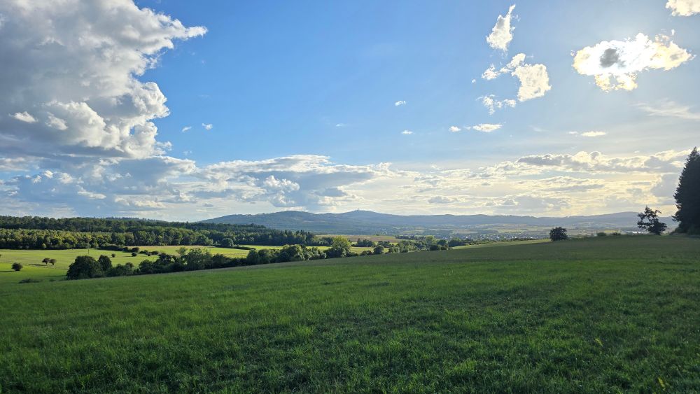 Ein grünes Feld mit blauem Himmel und Wolken. 