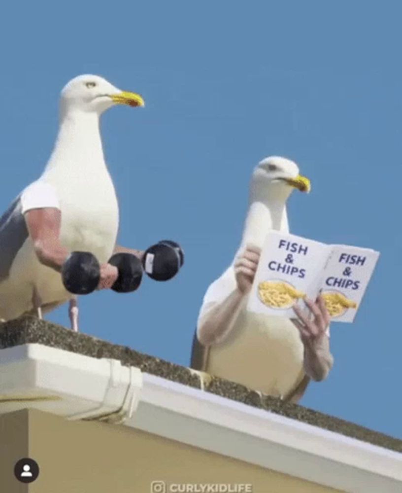 a seagull is sitting on top of a gutter holding a sign that says fish & chips