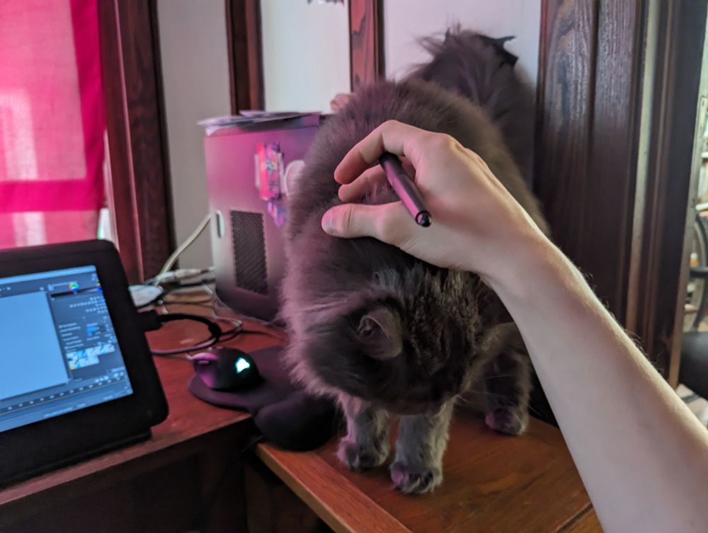 Photo of a cat on a desk being pet