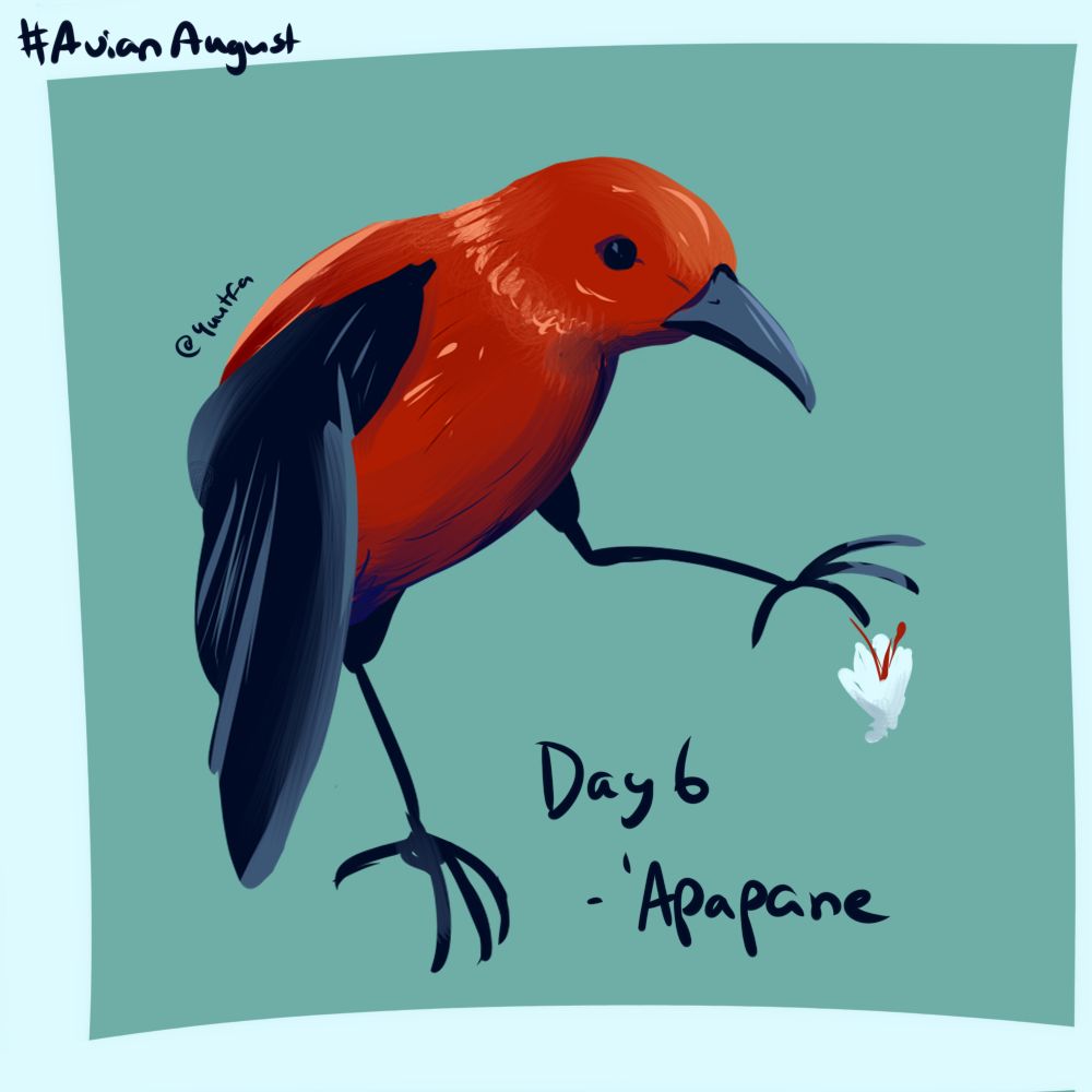 Illustration of an 'Apapane, a bright red-orange bird with black wings streaked with light grey. It has its legs outstreched over a small flower