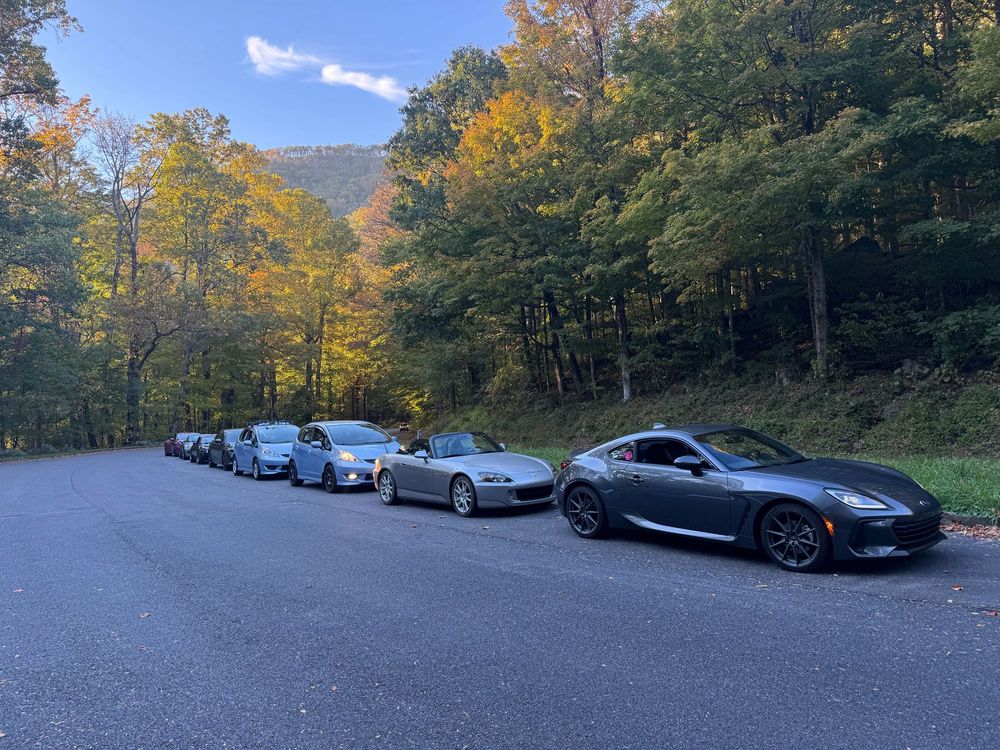 lineup of cars along side a road 