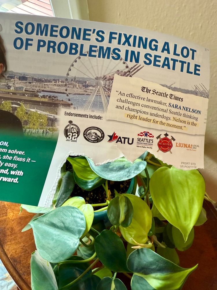Mailer for Sara Nelson—who has done a lot of harm to Seattle. Most recently, Sara Nelson did not attend a committee meeting, seemingly to thwart confirming renters to the Renters’ Commission, after D5 resident and former CM sent her a 2:30 am email complaining that the confirmation was on the agenda. Actually, that does sound like the fix is in. 