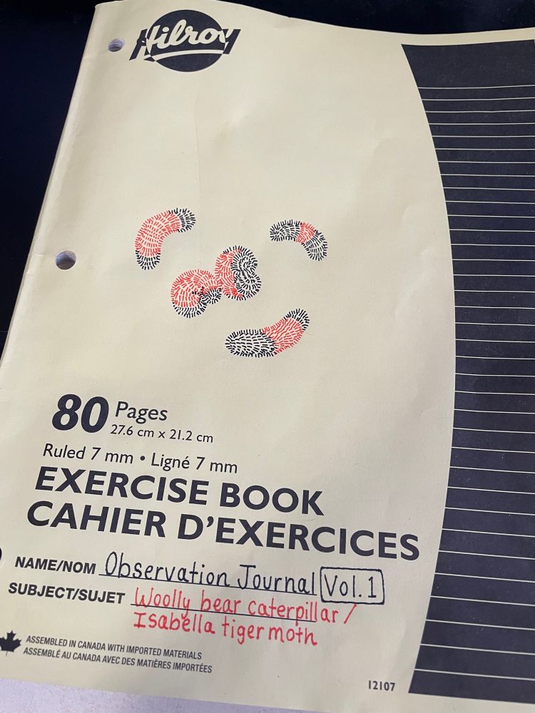 A yellow Hilroy exercise notebook. It has doodles of banded woolly bear caterpillars on its front. The title at the bottom reads “Observation Journal Vol. 1” and “Woolly bear caterpillar / Isabella tiger moth”