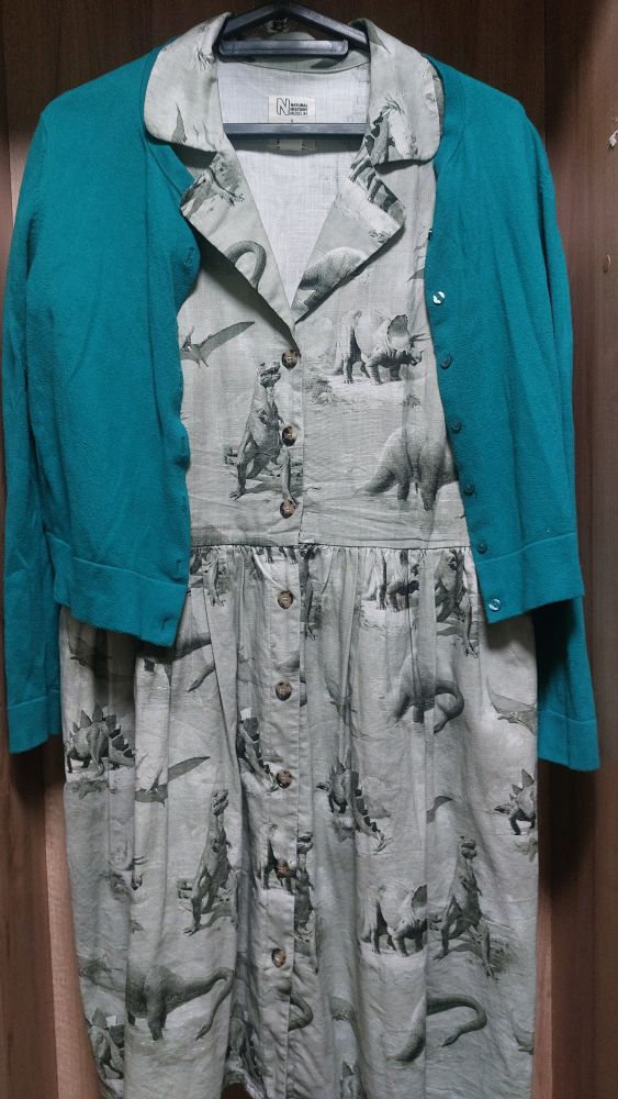 sad looking picture of a slightly crumpled dress hanging in a dorm cupboard. I am not a fashion photographer. the important thing here is that it is a sage green dress with a print of dinosaurs from various eras on it, with a kelly green cardigan hanging over the shoulders.