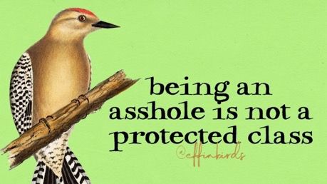 A title card featuring a woodpecker and text reading “being an asshole is not a protected class.”
