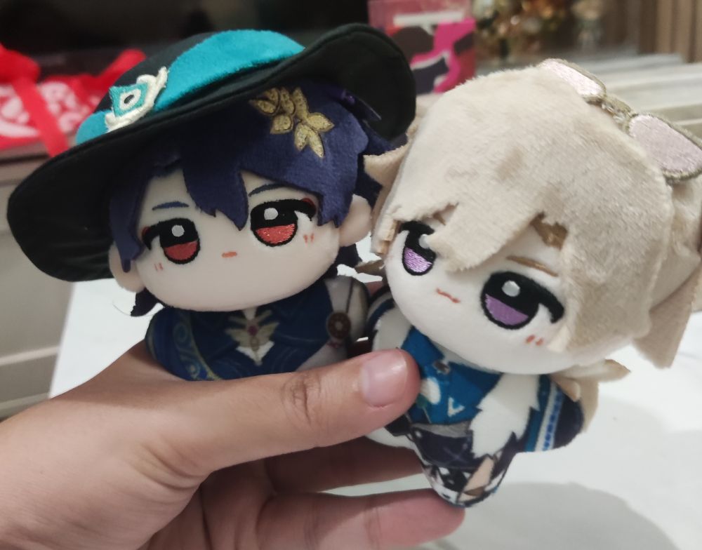 Look at their stupid faces