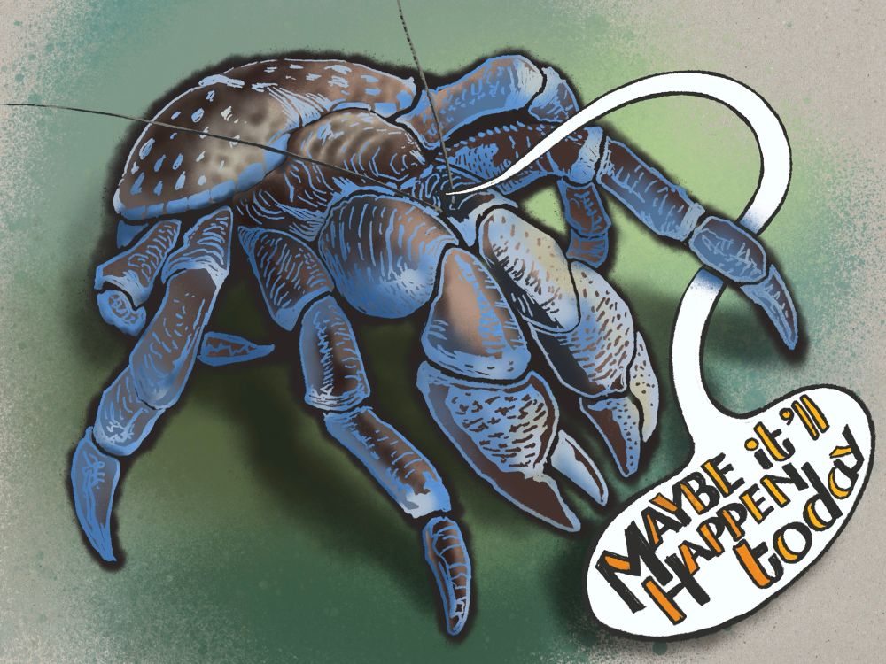 A digital illustration of the world’s largest terrestrial arthropod, the Coconut Crab. It’s a beefy articulated tank of a beast: heavy and strong-looking claws and long legs emerging from under a roundish domed carapace, with a vaguely comical head segment and two long antennae amid all that. Colored in shades of brown and blue with linear striations along all its limbs and spots on its carapace. A speech balloon with a very long tail that wraps around one of the crab’s legs reads ‘maybe it will happen today’. You should look up some coconut crab images soon. 