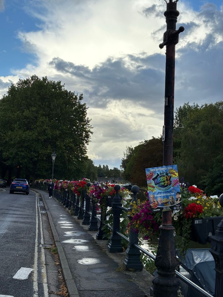 Brilliant white cloud-sunset with a darker grey clod in front of it, trees on both sides of the Thames, with flowers along the rail of St Helen’s Wharf 