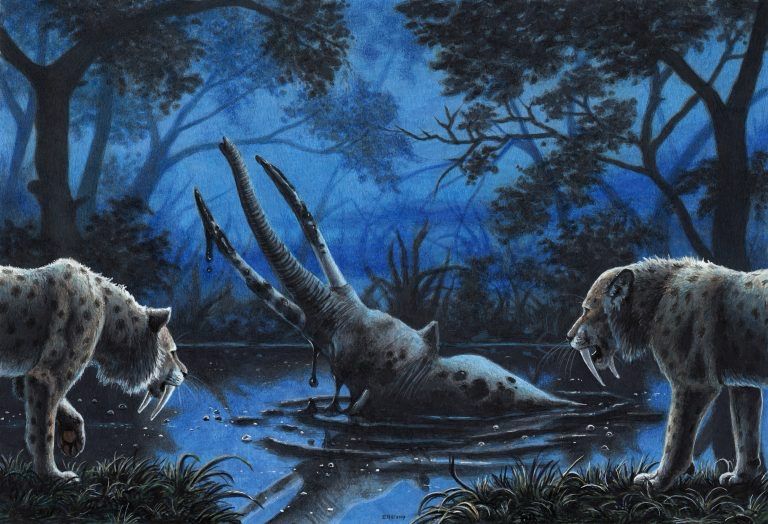 Night scene of two smilodons in the foreground approaching a mastodon that is stuck in a tar pit