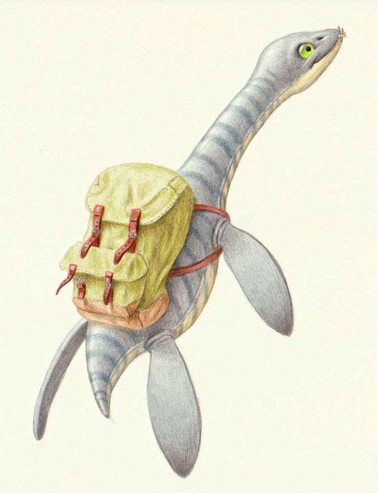 A cute drawing of a baby plesiosaur, seen from the back with a backpack on. The background is white, the animal light grey with blueish stripes and the backpack is green with brown leather straps