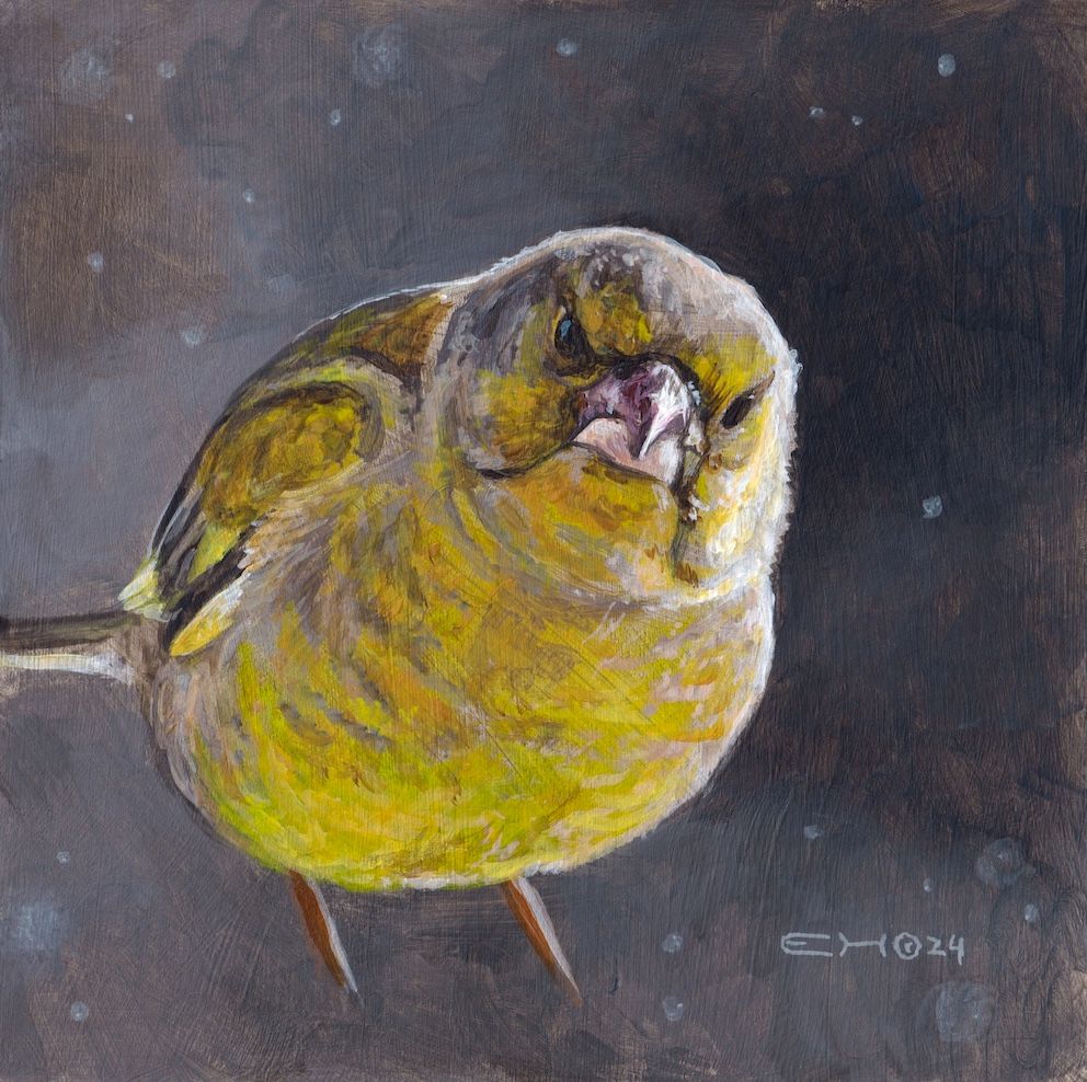 A little painting of a greenfinch, see from the front. The background is a dark beigisch grey. The bird is a beige green. It looks almost directly to the viewer, the position of the eyes and beak make it look quite angry. 
The brushstrokes  are quite loose, but there is lots of detail in this painting
