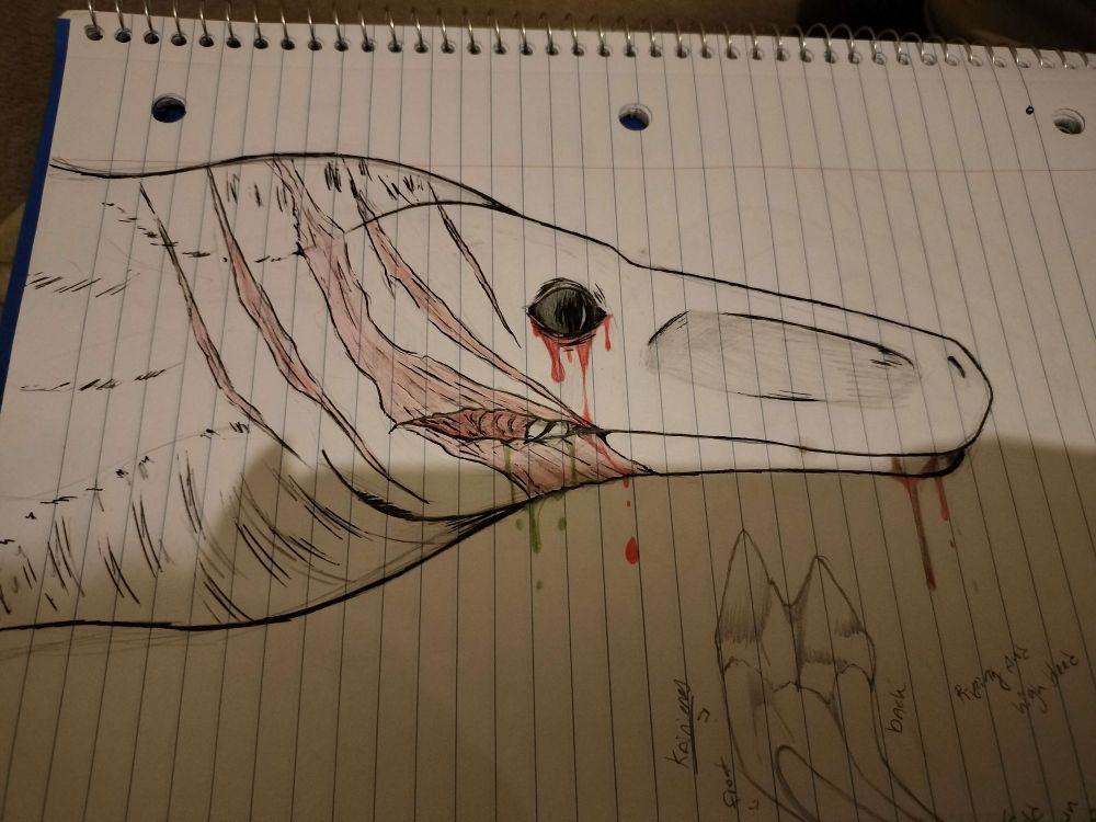 Base idea of her head and teeth including her large scar she received from a therizeno (fun fact therizeno are a off branch from megaraptorians)