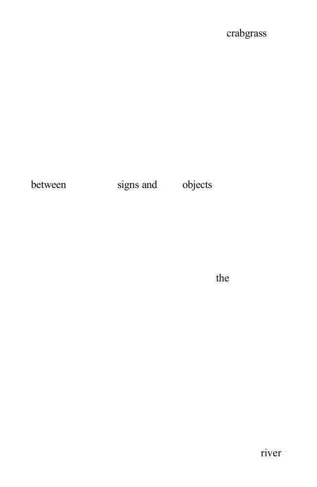 crabgrass
between signs & objects . . .
the river