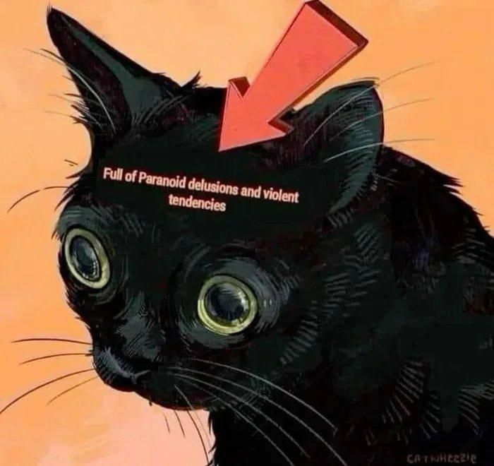Black cat with wide eyes. Text (with an arrow pointing to the cat's head): full of paranoid delusions and violent tendencies