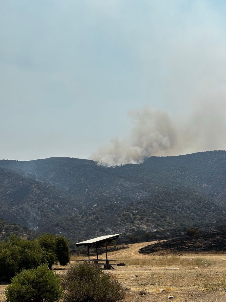 Smoke from the fire on the mountain, as seen from Selby campground. 