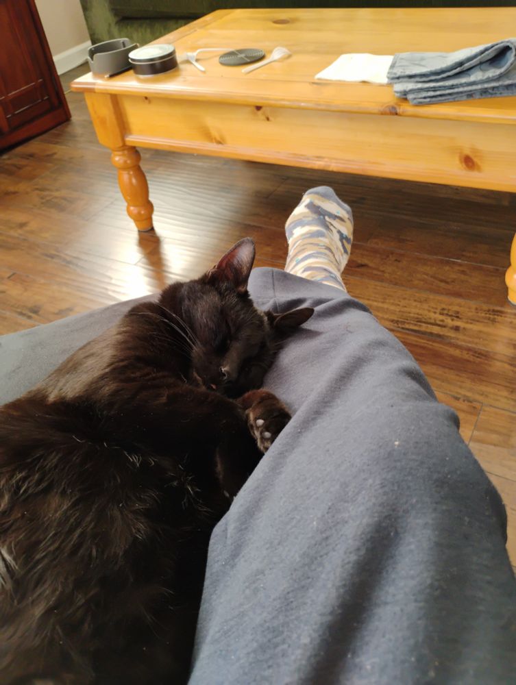 A black cat sleeping against a leg 