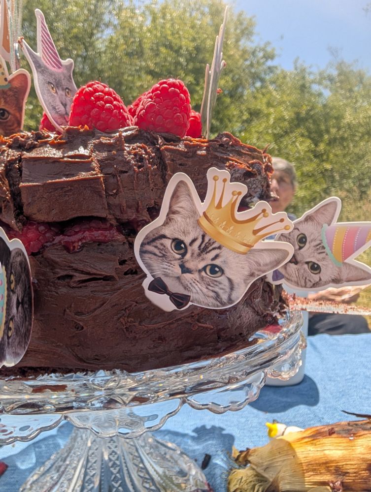 picture of a chocolate cake with a picture of a cat wearing a crown.