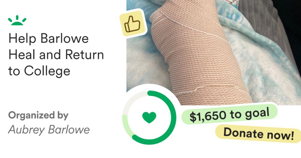 Donate to Help Barlowe Heal and Return to College, organized by Aubrey Barlowe