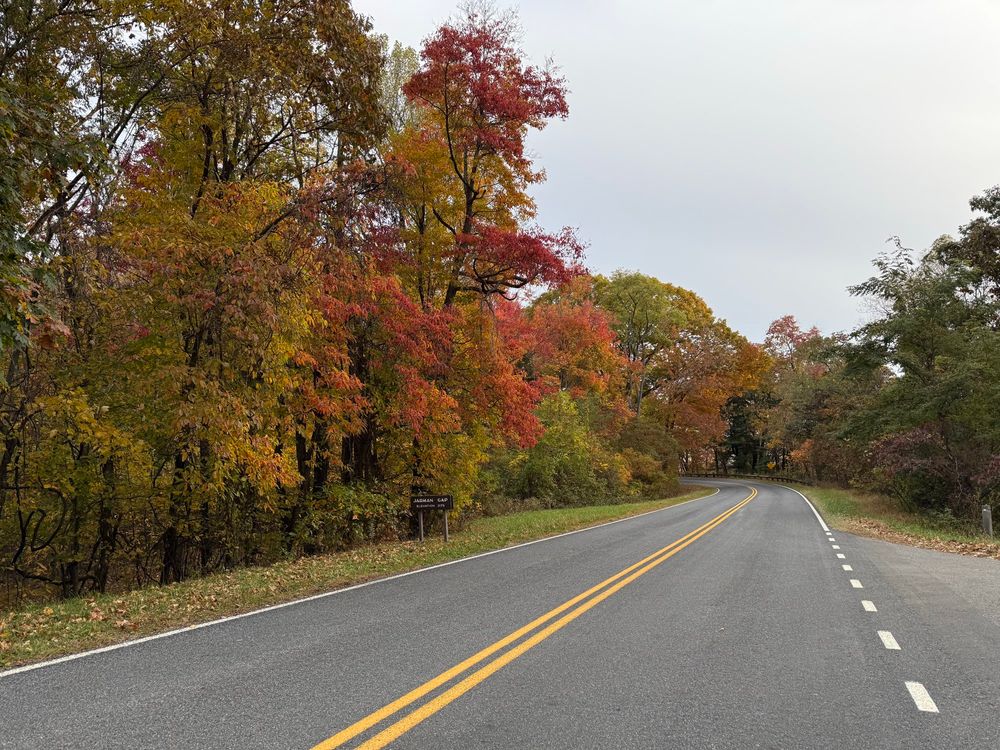 A road and brightly colored trees