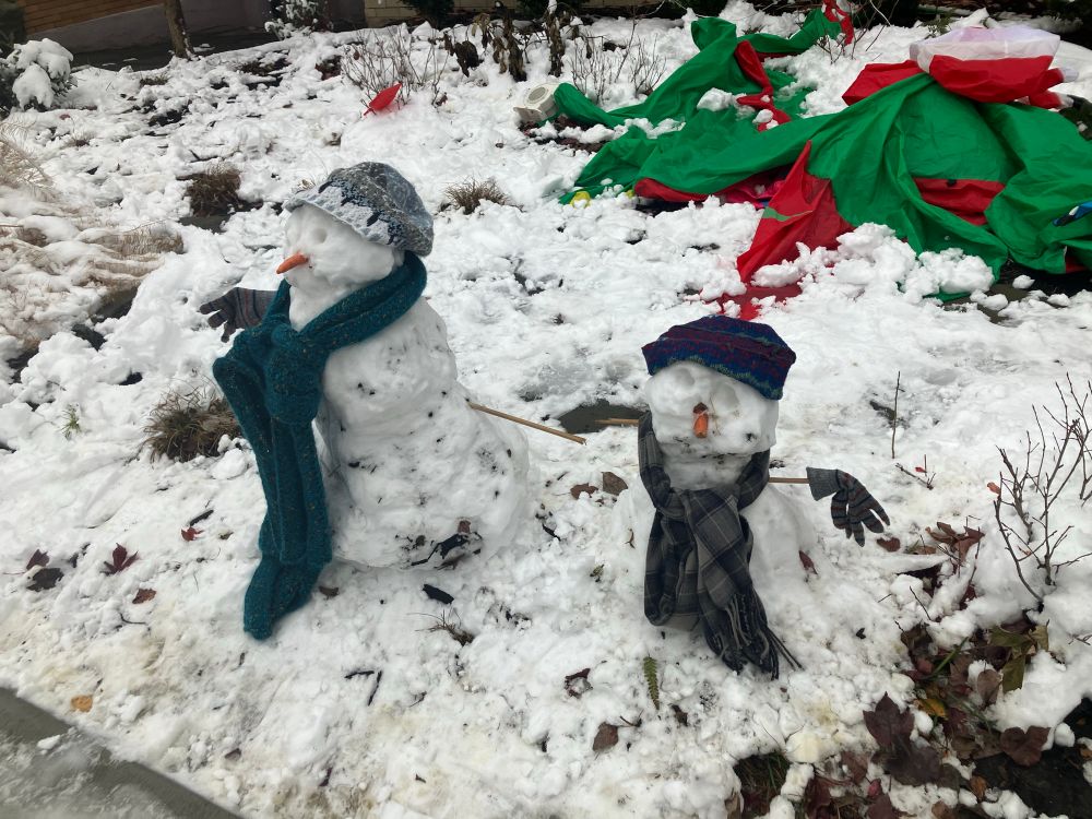 Two snowmen in a front yard, with carrots for noses and wearing winter hats and scarves. 