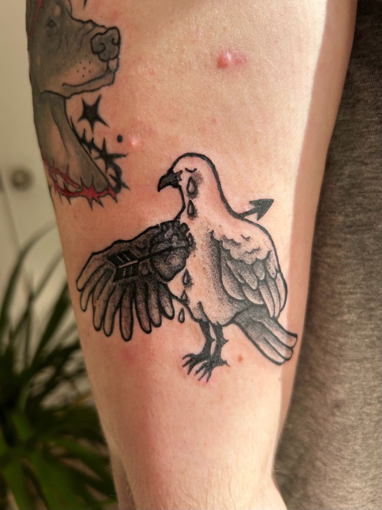 A tattoo of a dove standing with a heart on the outside of its chest and an arrow pierced through it to the other side. The dove has a trail of tears down its body.