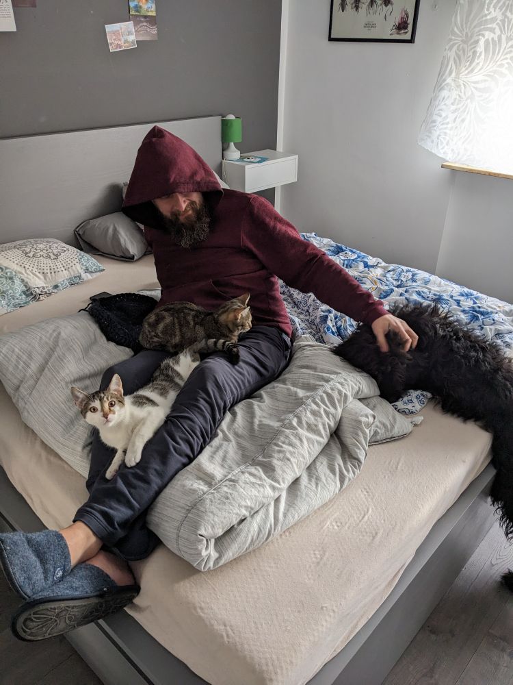 Picture depicting a husband, two cats and a dog sharing cuddles on the bed