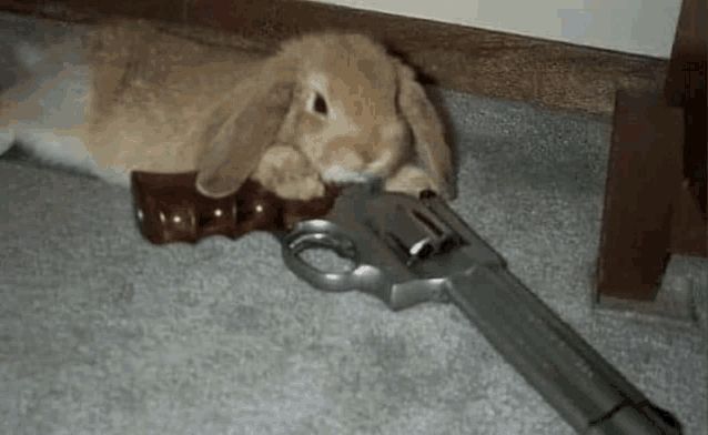 A bunny laying with its paws on a big revolver on the floor