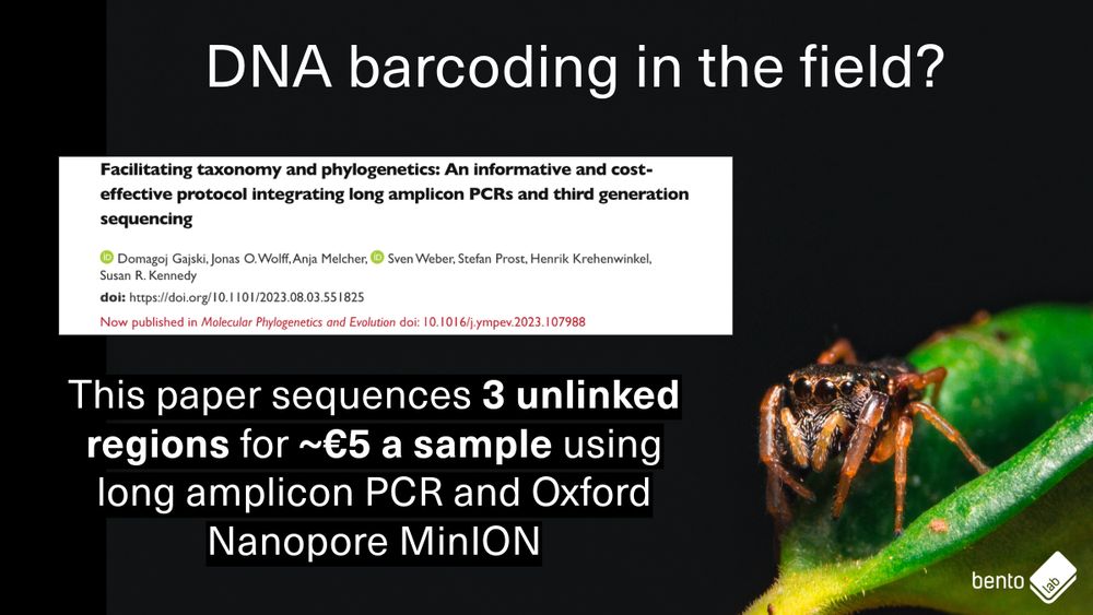 Image shows a spider and a paper preview on bioRxiv