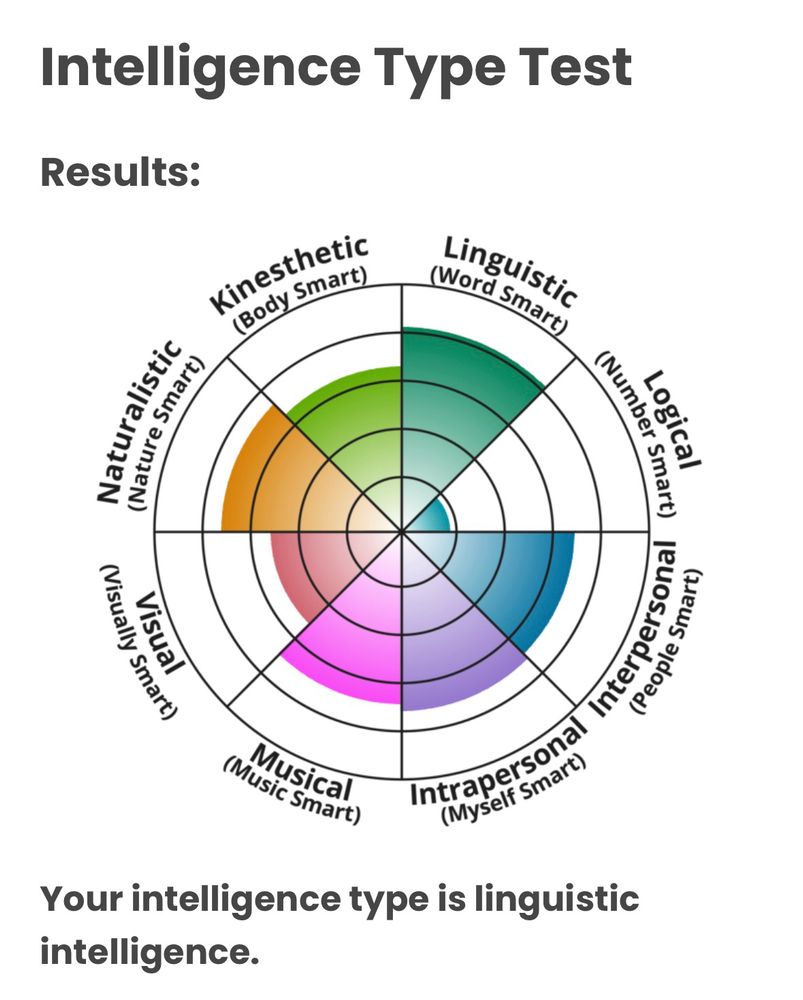 Results of my intelligence type test. The general takeaway is that I’m good with words, people, and myself. I’m bad at numbers.