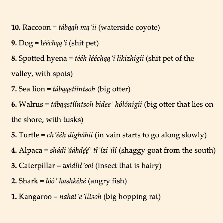 10. Raccoon = tábąąh mąʼii (waterside coyote)
9. Dog = łééchąąʼí (shit pet)
8. Spotted hyena = tééh łééchąąʼí łikizhígíí (shit pet of the valley, with spots)
7. Sea lion = tábąąstííntsoh (big otter)
6. Walrus = tábąąstííntsoh bideeʼ hólónígíí (big otter that lies on the shore, with tusks)
5. Turtle = chʼééh digháhii (in vain starts to go along slowly)
4. Alpaca = shádiʼááhdę́ę́ʼ tłʼízíʼilí (shaggy goat from the south)
3. Caterpillar = wódítłʼooí (insect that is hairy)
2. Shark = łóóʼ hashkéhé (angry fish)
1. Kangaroo = nahatʼeʼiitsoh (big hopping rat)