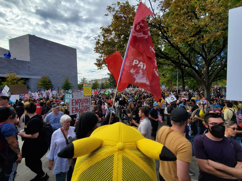 No Kings event in Washington DC, Sat., October 18, on Pennsylvania Avenue, next to the National Gallery of Art. Photo shows a large crowd, with the back of a Pikachu hat showing in the foreground.