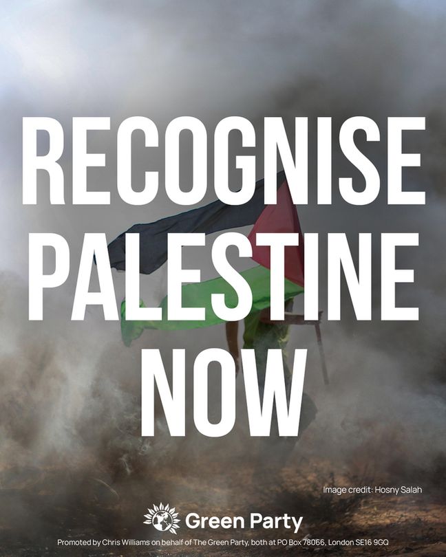 RECOGNISE PALESTINE NOW
With photo of person holding a Palestinian flag 

Image credit: Hosny Salah
Green Party
Promoted by Chris Williams on behalf of The Green Party, both at PO Box 78066, London SE16 9GQ