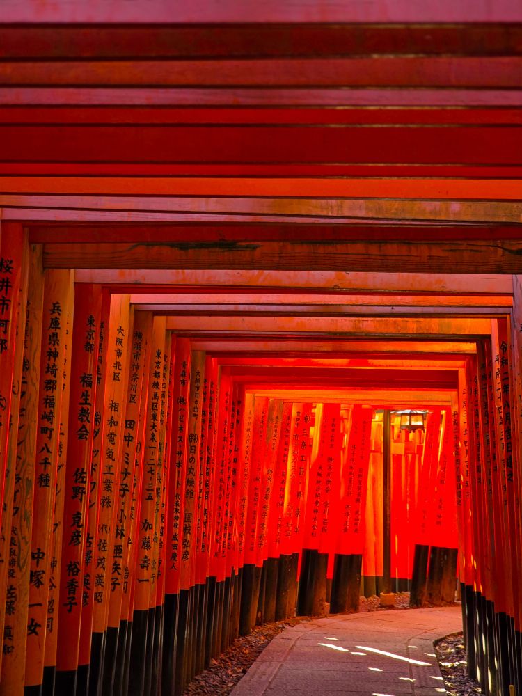 Fushimi Inari. Red torii gates