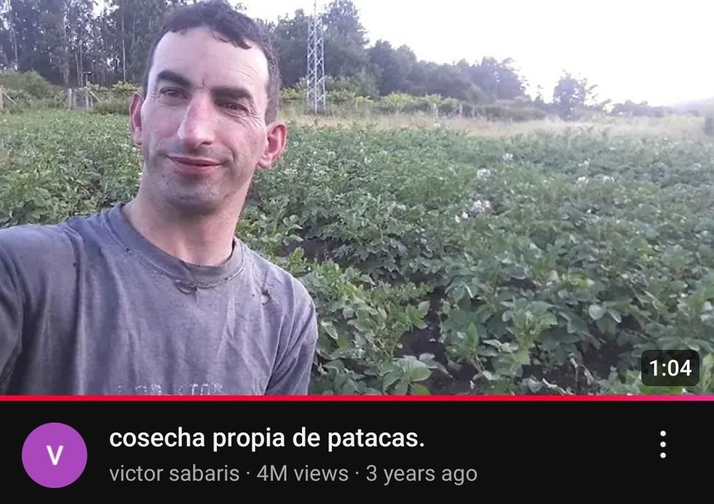 Un vídeo de YouTube — «cosecha propia de patacas.»