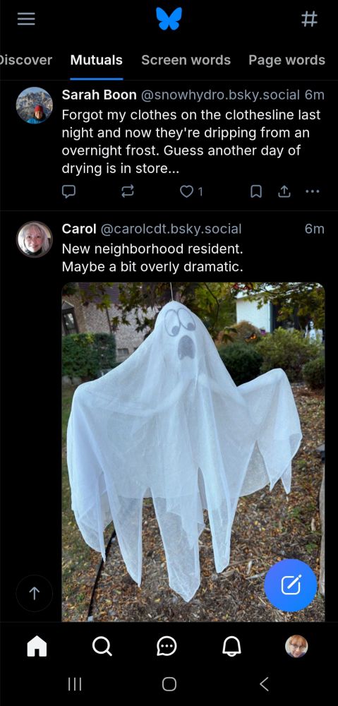 Screenshot of 2 bluesky posts next to one another in my feed:

Sarah Boon ‪@snowhydro.bsky.social‬
Forgot my clothes on the clothesline last night and now they're dripping from an overnight frost. Guess another day of drying is in store...

Next post:
Carol‬
 ‪@carolcdt.bsky.social‬
New neighborhood resident. 
Maybe a bit overly dramatic.
[Photo of a lawn ghost] 