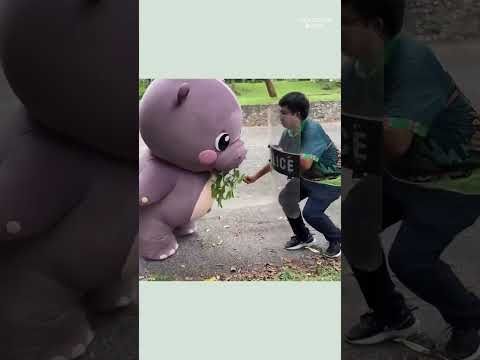 See the Moo Deng rescue drill starring a mascot version of the hippo #Shorts