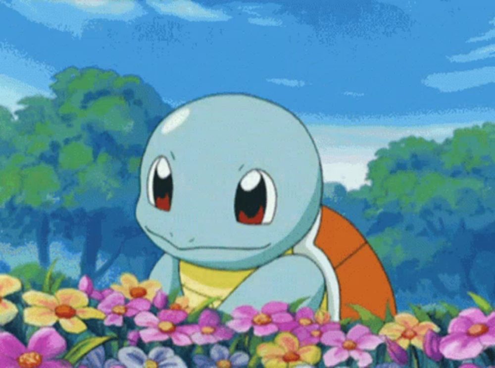 Pokemon Squirtle GIF