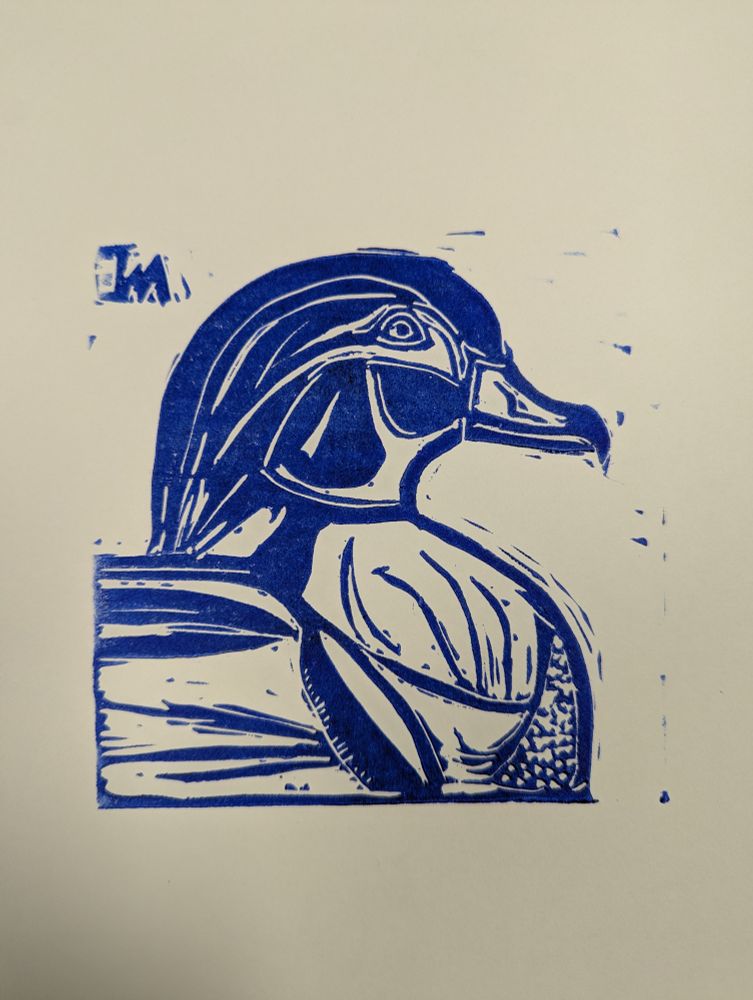 A wood duck in profile. Blue lino print 