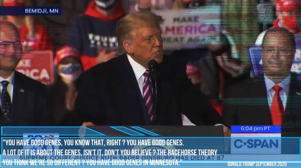 Trump en 2020 : « You have good genes, you know that, right ? You have good genes. A lot of it is about the genes, isn't it, don't you believe ? The racehorse theory [...] You have good genes in Minnesota. »