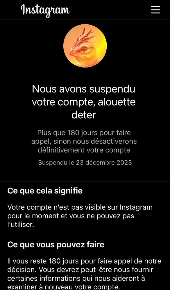 Message de Threads : Nous avons suspendu votre compte, alouette deter. Plus que 180 jours pour faire appel, sinon vous désactiverons votre compte.